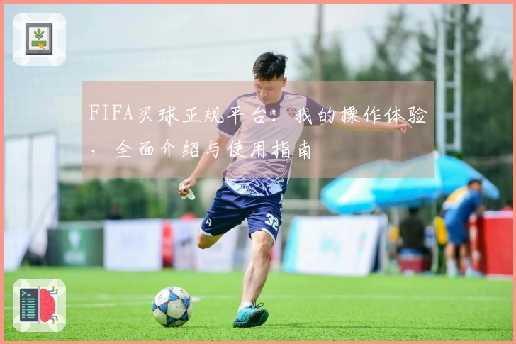 FIFA买球正规平台：我的操作体验，全面介绍与使用指南