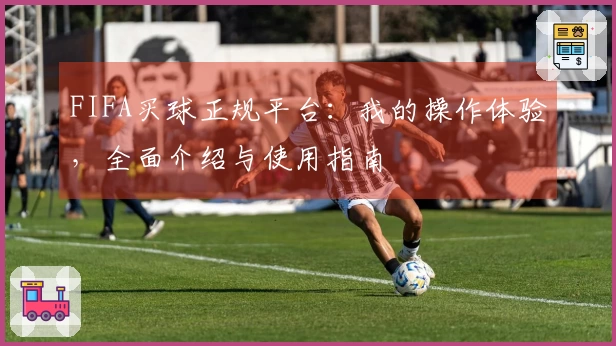 FIFA买球正规平台：我的操作体验，全面介绍与使用指南
